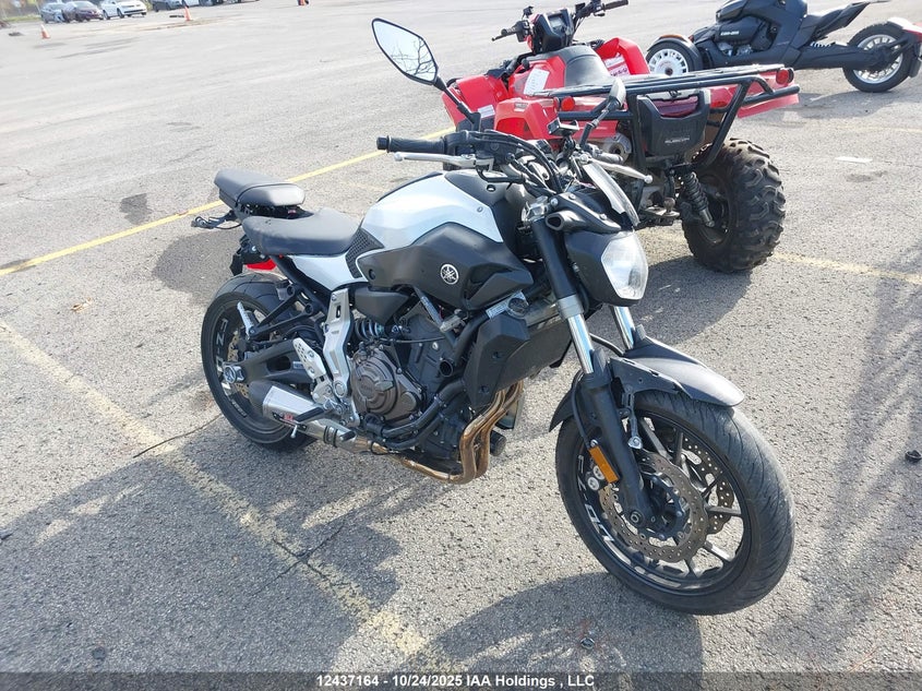 JYARM06NXFA000973 2015 Yamaha Fz07 auction photo 1
