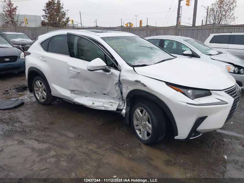 2019 Lexus Nx 300 VIN: JTJBARBZ0K2194734 Lot: 12437244