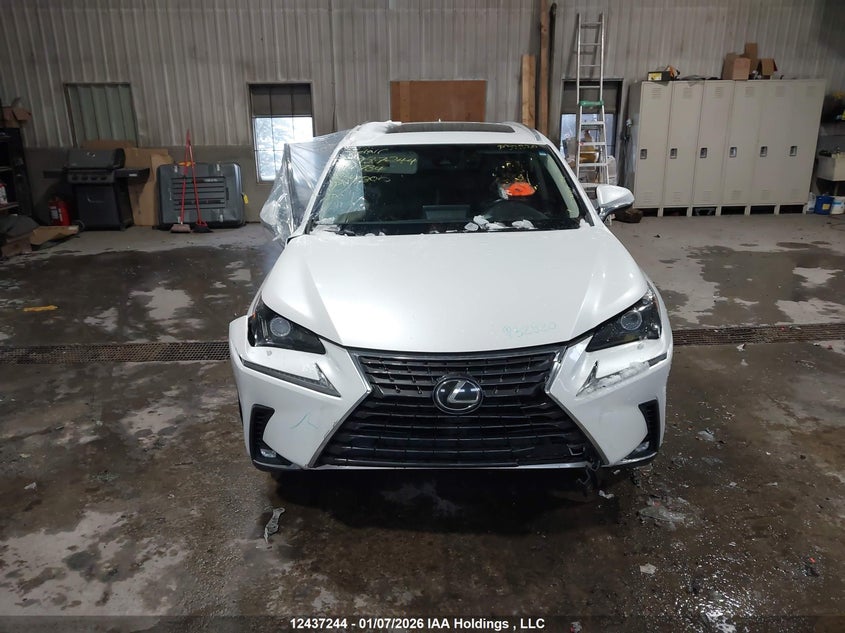 2019 Lexus Nx 300 VIN: JTJBARBZ0K2194734 Lot: 12437244