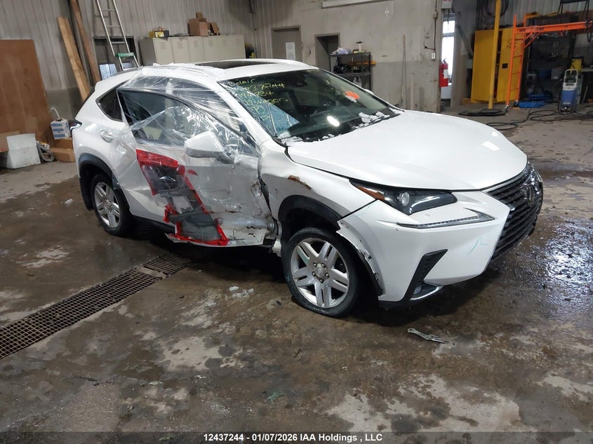 JTJBARBZ0K2194734 2019 LEXUS NX photo no. 19