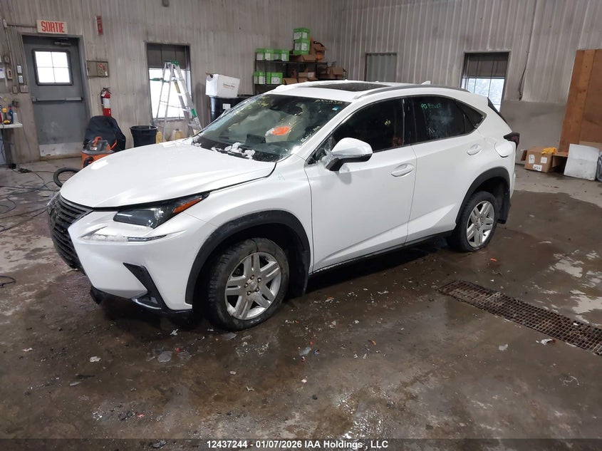 JTJBARBZ0K2194734 2019 LEXUS NX photo no. 2