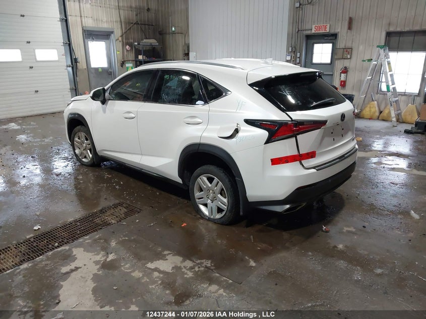 JTJBARBZ0K2194734 2019 LEXUS NX photo no. 3