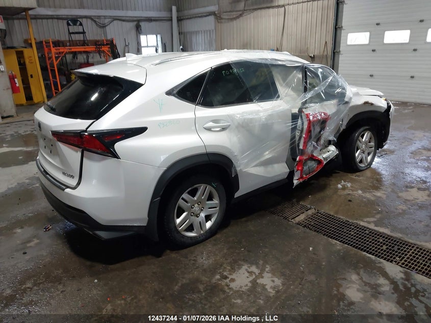 JTJBARBZ0K2194734 2019 LEXUS NX photo no. 4