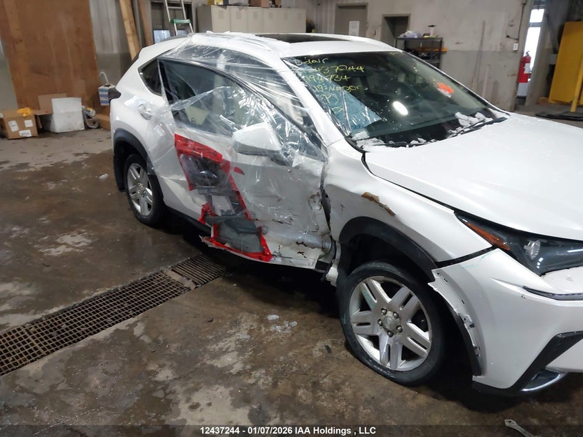 2019 Lexus Nx 300 VIN: JTJBARBZ0K2194734 Lot: 12437244