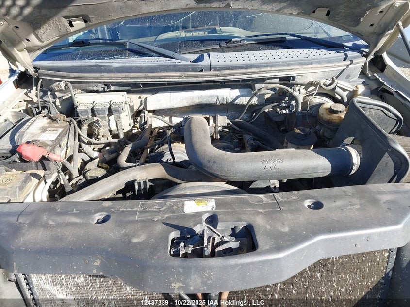 1FTPW14536FA86693 2006 FORD F-150 photo no. 10