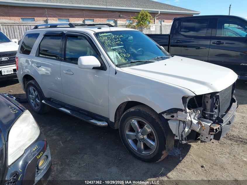 1FMCU9EG1BKC66321 2011 Ford Escape Limited auction photo 1