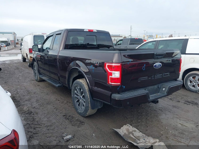 1FTEX1EP9KKC44606 2019 FORD F-150 photo no. 14