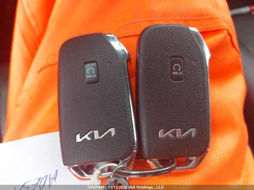 2022 Kia Telluride Sx VIN: 5XYP5DHC7NG207752 Lot: 12437449