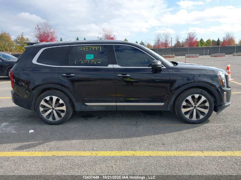 2022 Kia Telluride Sx VIN: 5XYP5DHC7NG207752 Lot: 12437449
