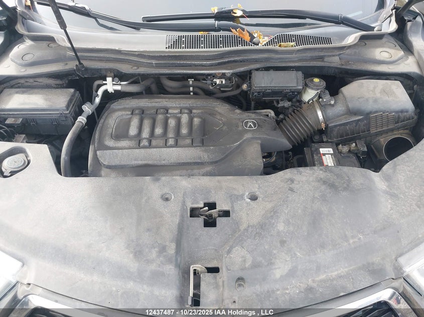 2017 Acura Mdx Technology VIN: 5FRYD4H67HB507738 Lot: 12437487