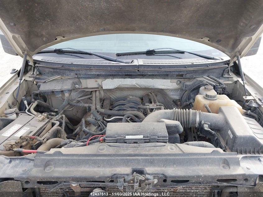 1FTFX1EF6CFA16228 2012 FORD F-150 photo no. 10