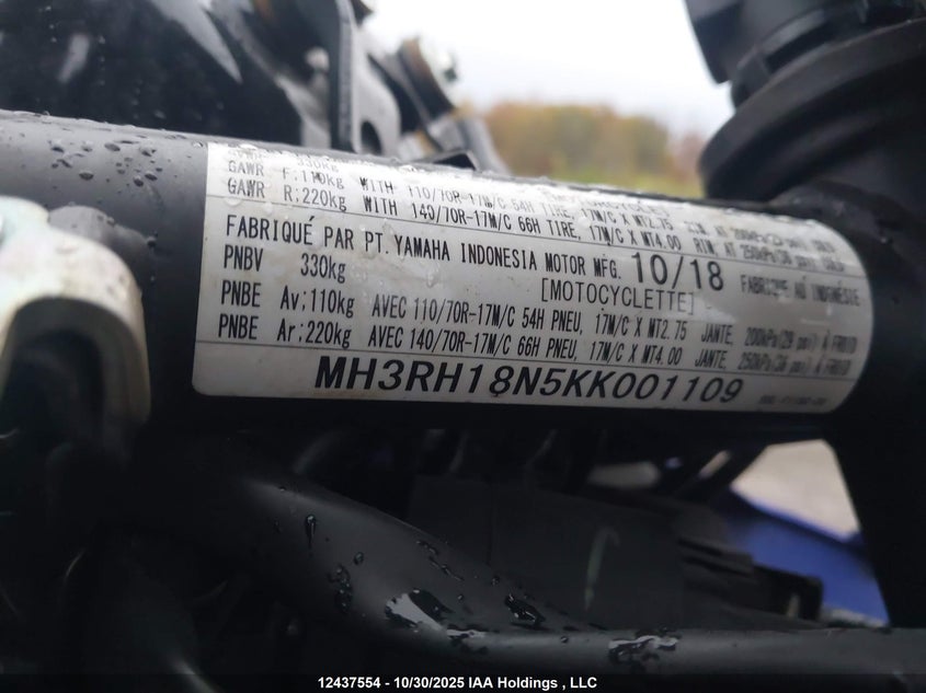 MH3RH18N5KK001109 2019 YAMAHA YZF photo no. 10