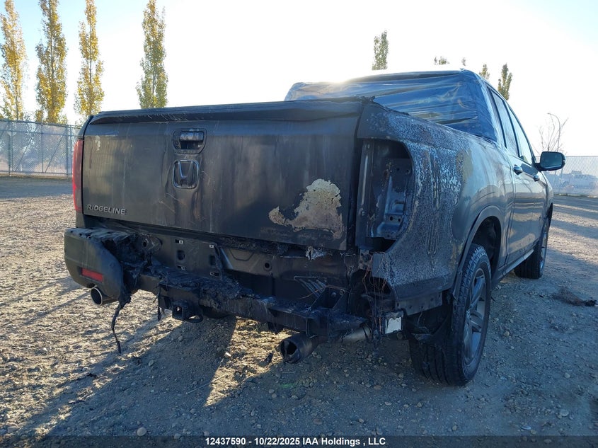 5FPYK3F74NB502304 2022 HONDA RIDGELINE photo no. 6