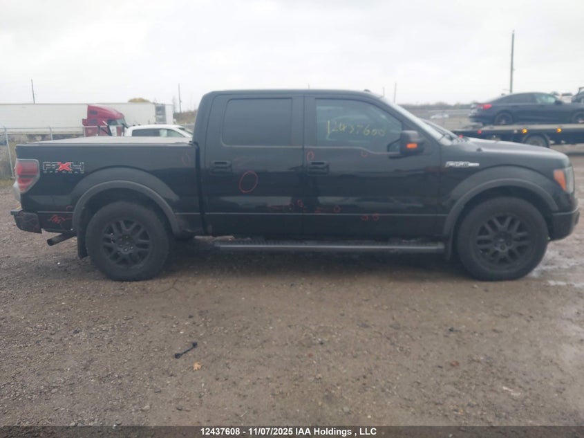 1FTFW1EFXBFC40684 2011 FORD F-150 photo no. 13