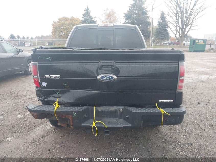 1FTFW1EFXBFC40684 2011 FORD F-150 photo no. 16