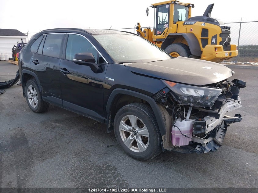 2T3BWRFV1LW098387 2020 TOYOTA RAV 4 photo no. 19