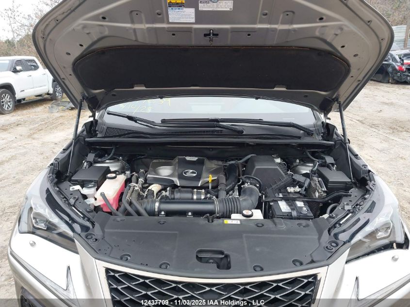 2021 Lexus Nx 300 Base/300 Luxury/300 F Sport VIN: JTJSARDZ3M2256983 Lot: 12437709