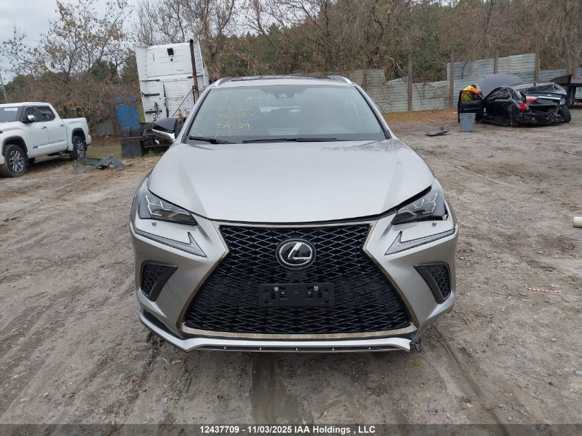 2021 Lexus Nx 300 Base/300 Luxury/300 F Sport VIN: JTJSARDZ3M2256983 Lot: 12437709