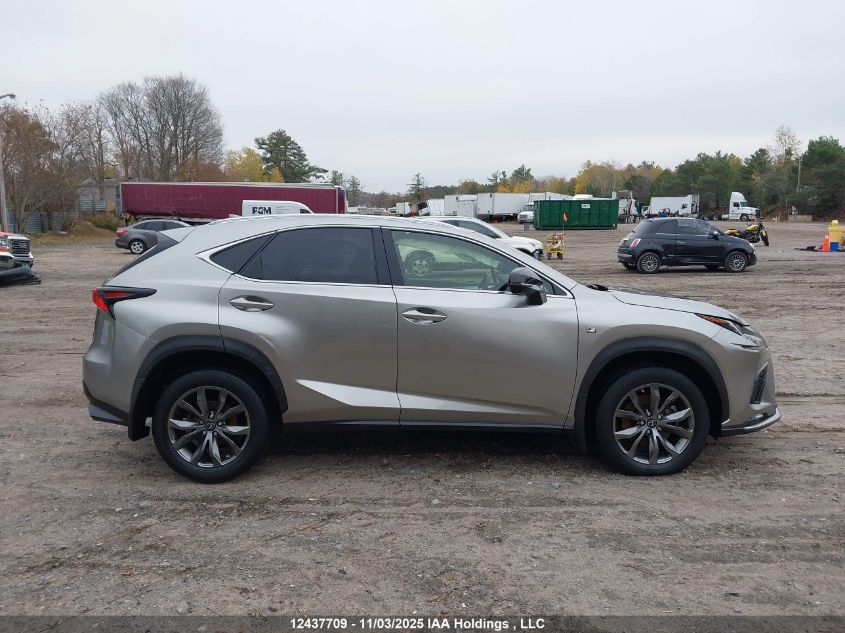2021 Lexus Nx 300 Base/300 Luxury/300 F Sport VIN: JTJSARDZ3M2256983 Lot: 12437709