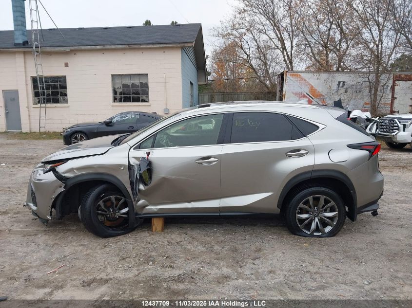 2021 Lexus Nx 300 Base/300 Luxury/300 F Sport VIN: JTJSARDZ3M2256983 Lot: 12437709
