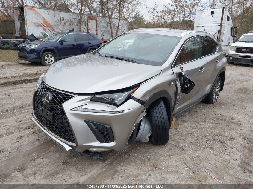 JTJSARDZ3M2256983 2021 LEXUS NX photo no. 2