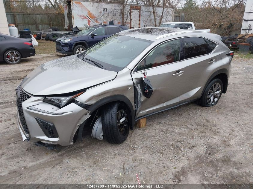 2021 Lexus Nx 300 Base/300 Luxury/300 F Sport VIN: JTJSARDZ3M2256983 Lot: 12437709
