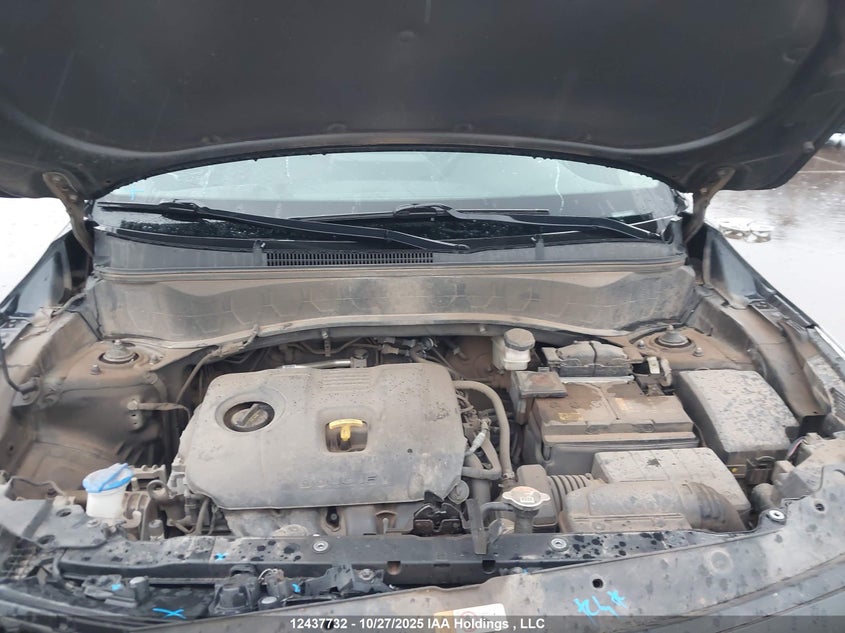 2021 Kia Seltos Ex VIN: KNDERCAA7M7221256 Lot: 12437732