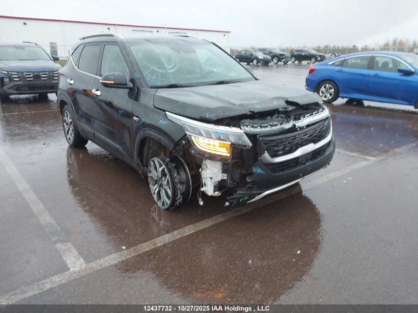 2021 Kia Seltos Ex VIN: KNDERCAA7M7221256 Lot: 12437732