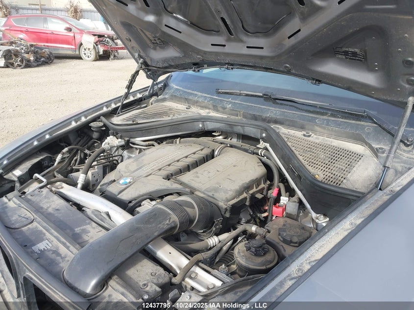 5UXFG2C56DL784972 2013 BMW X6 photo no. 10