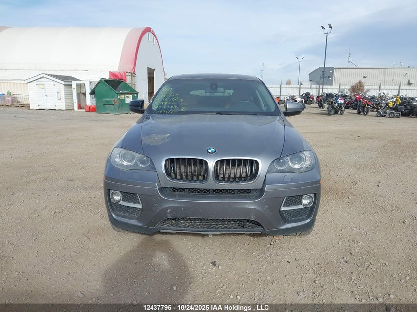 5UXFG2C56DL784972 2013 BMW X6 photo no. 13