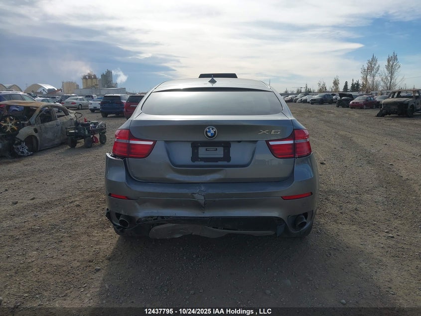5UXFG2C56DL784972 2013 BMW X6 photo no. 17
