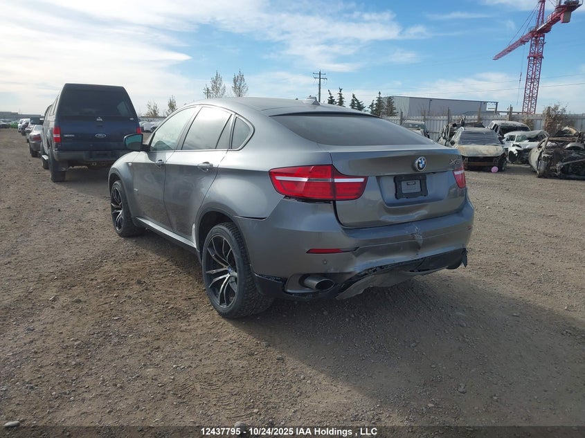 5UXFG2C56DL784972 2013 BMW X6 photo no. 3
