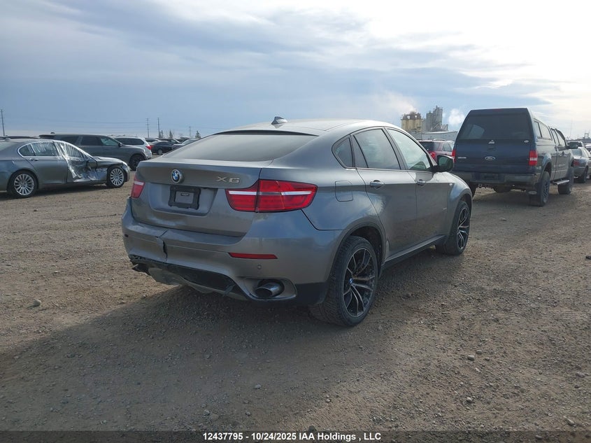 5UXFG2C56DL784972 2013 BMW X6 photo no. 4