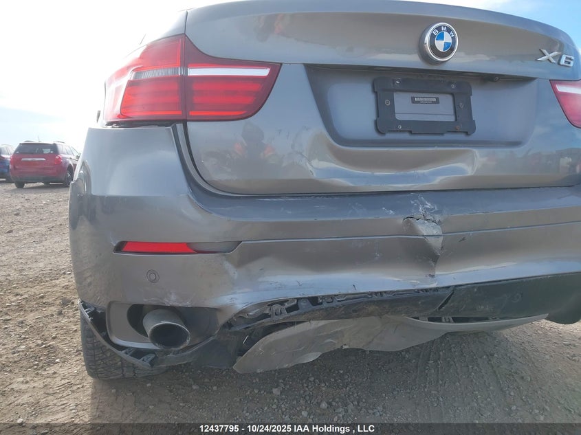 5UXFG2C56DL784972 2013 BMW X6 photo no. 6