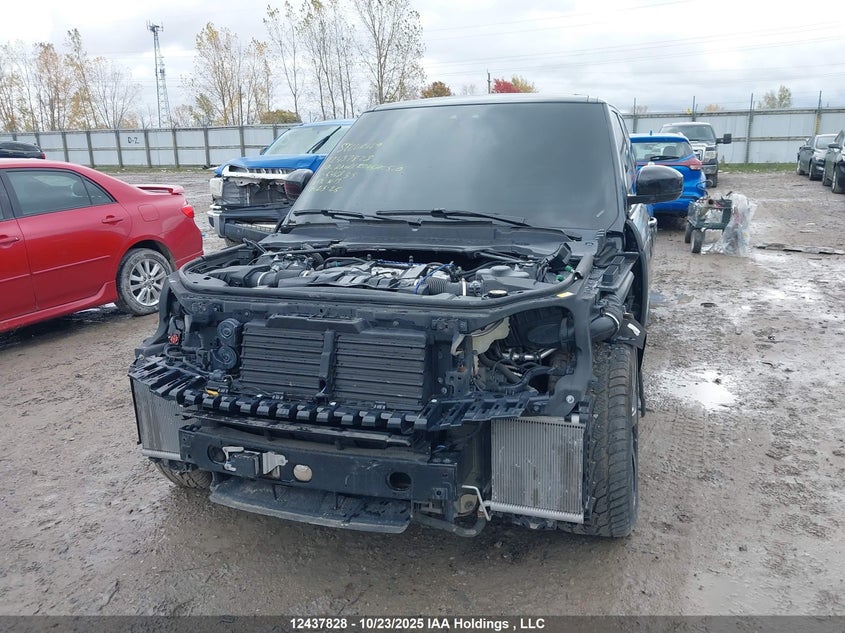 2019 Land Rover Range Rover 5.0L V8 Supercharged VIN: SALGS5RE3KA546835 Lot: 12437828