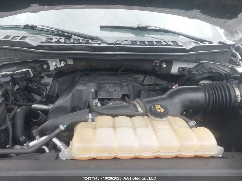1FTEW1EP7HFB82787 2017 FORD F-150 photo no. 10