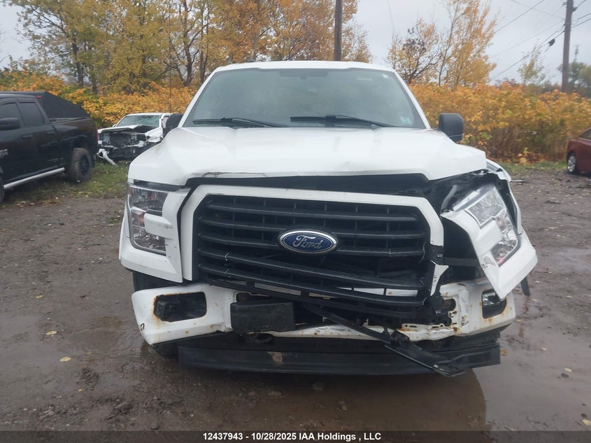 1FTEW1EP7HFB82787 2017 FORD F-150 photo no. 12
