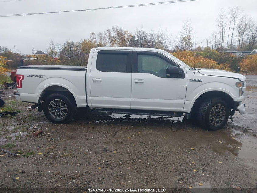 1FTEW1EP7HFB82787 2017 FORD F-150 photo no. 13