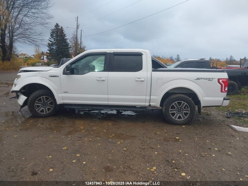 1FTEW1EP7HFB82787 2017 FORD F-150 photo no. 14
