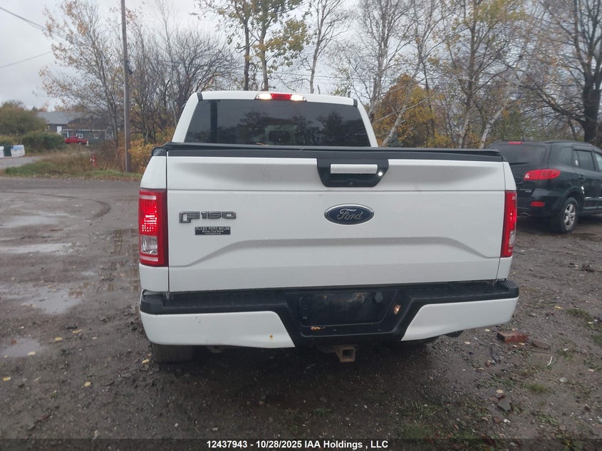 1FTEW1EP7HFB82787 2017 FORD F-150 photo no. 16
