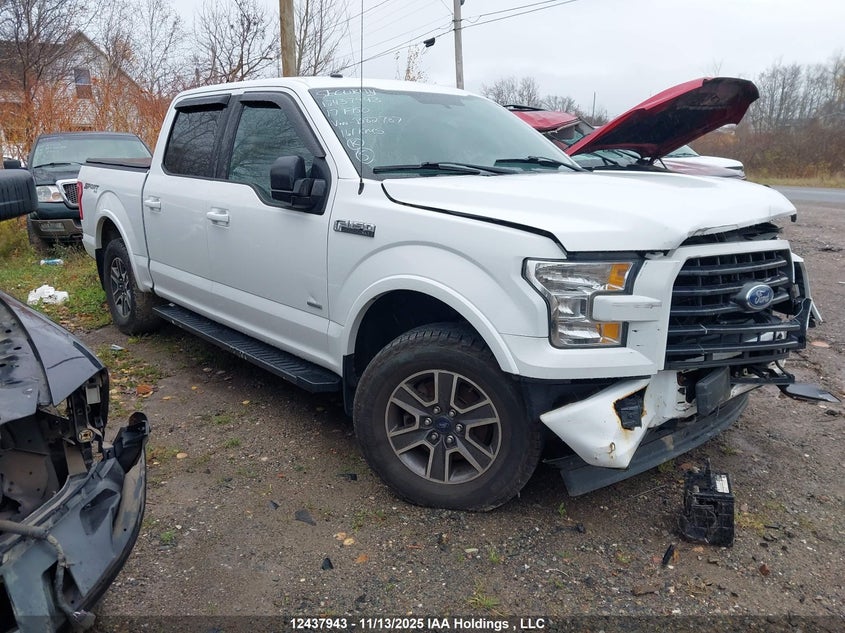 1FTEW1EP7HFB82787 2017 FORD F-150 photo no. 24