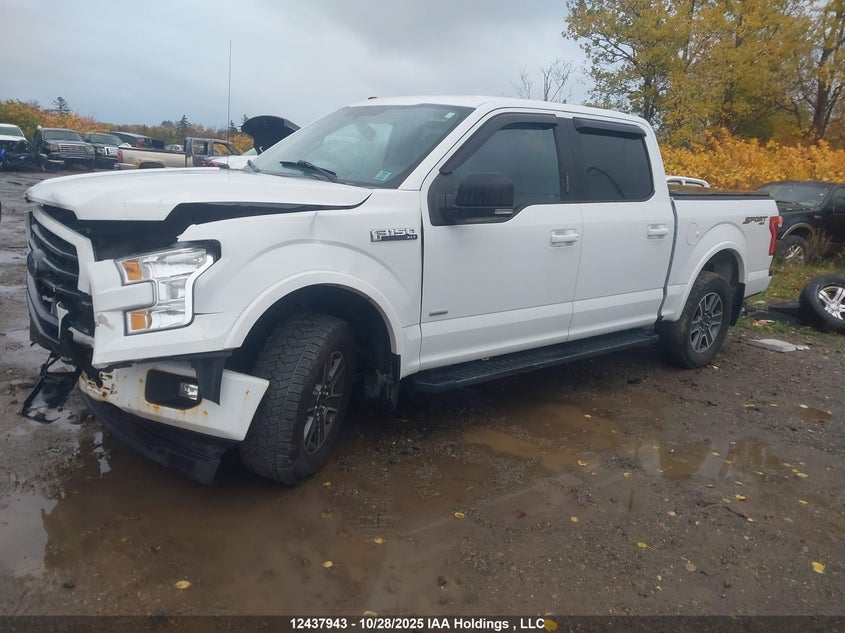 1FTEW1EP7HFB82787 2017 FORD F-150 photo no. 2