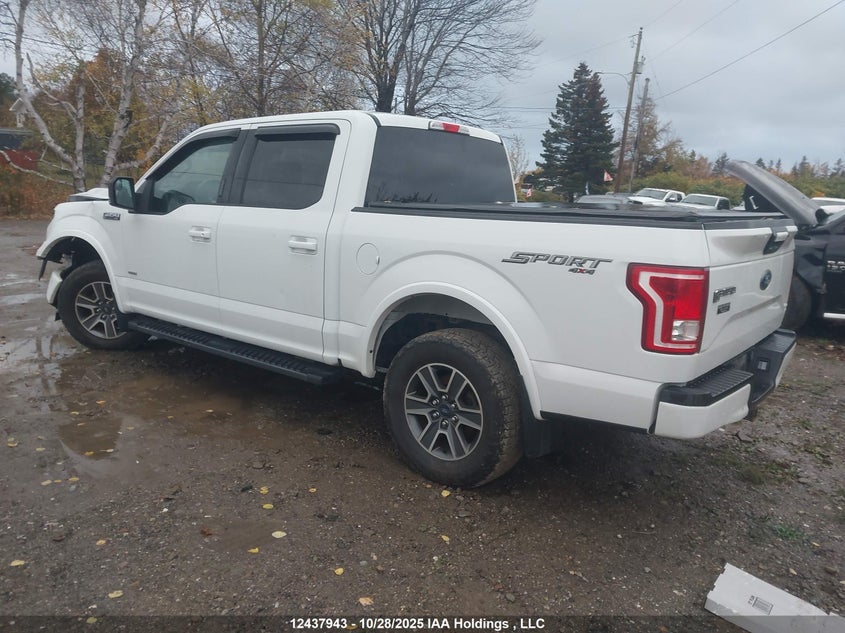 1FTEW1EP7HFB82787 2017 FORD F-150 photo no. 3