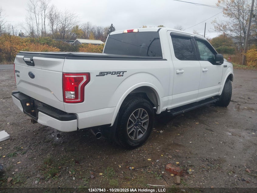 1FTEW1EP7HFB82787 2017 FORD F-150 photo no. 4