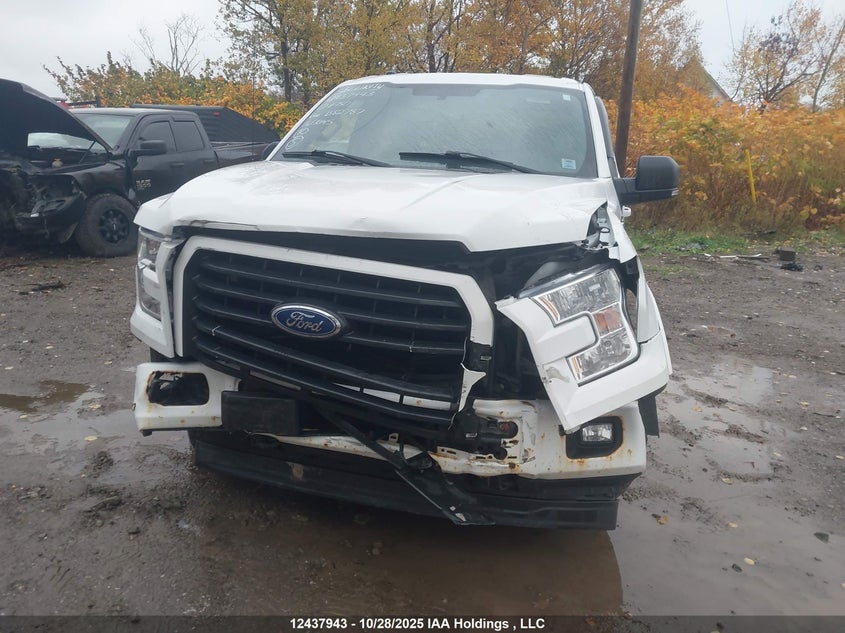 1FTEW1EP7HFB82787 2017 FORD F-150 photo no. 6