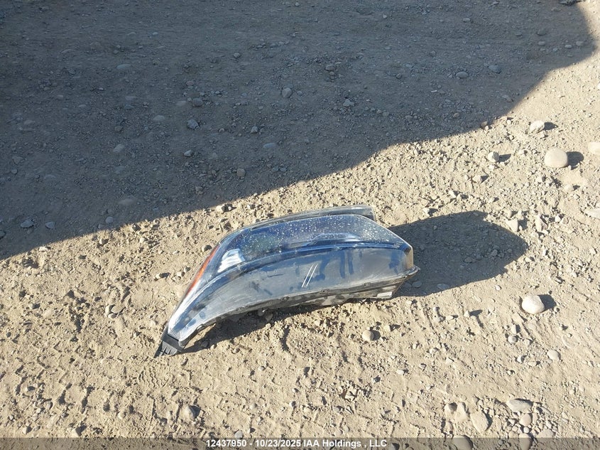 2HKRW2H43LH204484 2020 HONDA CR-V photo no. 12