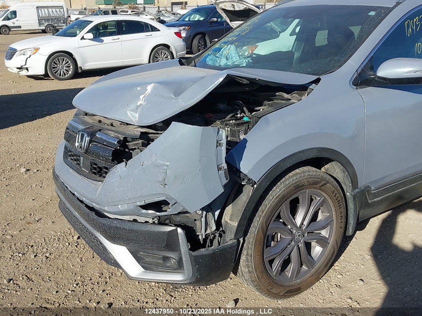 2HKRW2H43LH204484 2020 HONDA CR-V photo no. 6