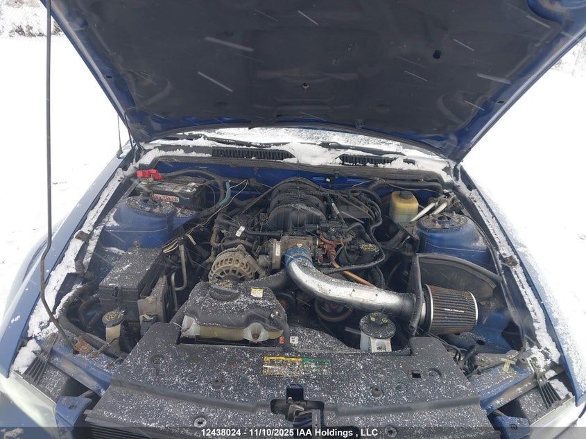 2006 Ford Mustang V6 VIN: 1ZVFT80N165170484 Lot: 12438024