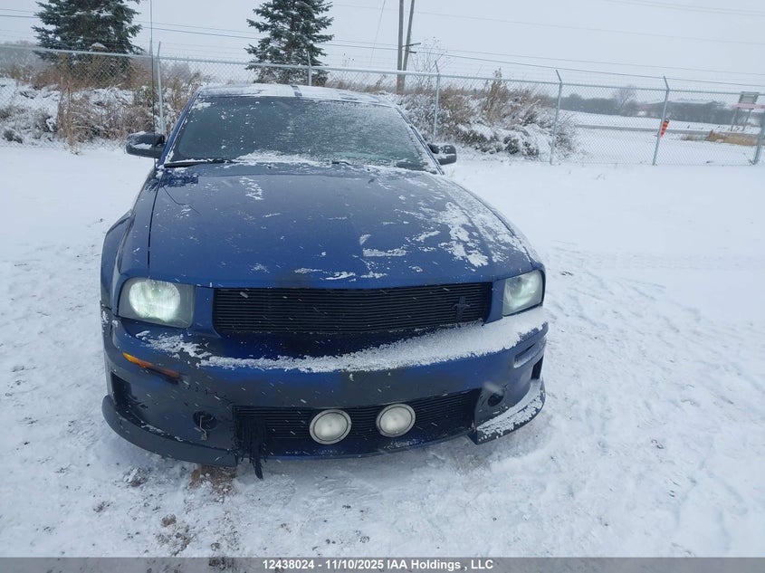 2006 Ford Mustang V6 VIN: 1ZVFT80N165170484 Lot: 12438024