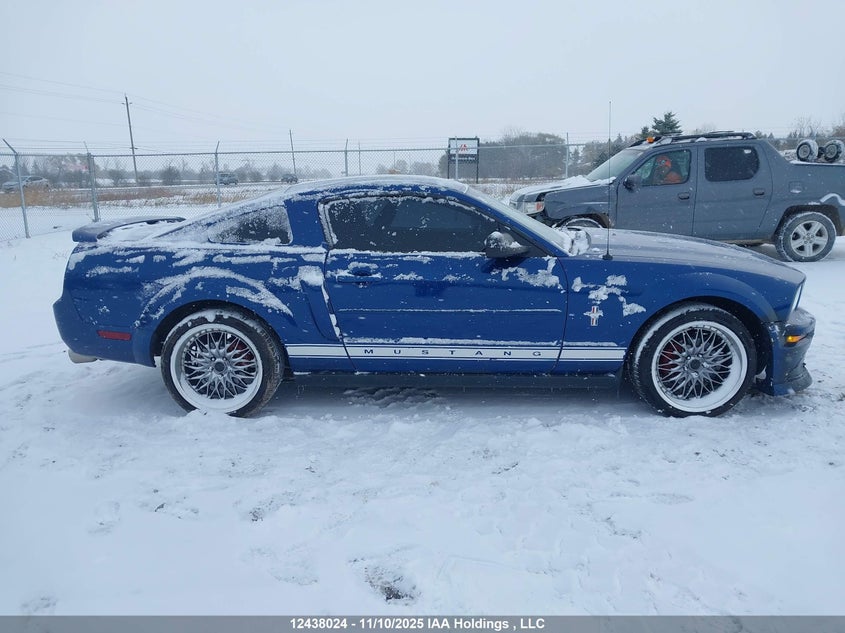 2006 Ford Mustang V6 VIN: 1ZVFT80N165170484 Lot: 12438024